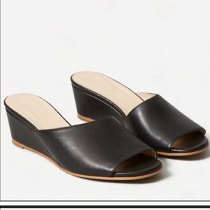 Everlane shoe